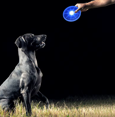 Frisbee Lumineux pour Chien – Jouet Extérieur Fun, Visible et Stimulant