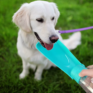 Gourde pour Chien – Bouteille d’Eau Portable pour Balades, Voyages et Sorties