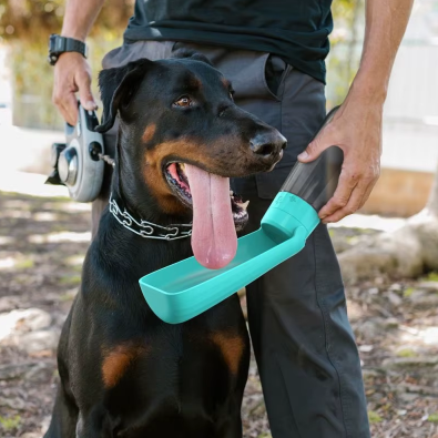 Gourde pour Chien – Bouteille d’Eau Portable pour Balades, Voyages et Sorties