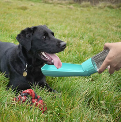 Gourde pour Chien – Bouteille d’Eau Portable pour Balades, Voyages et Sorties