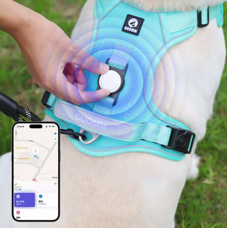 Harnais Anti-Traction pour Chien – Promenades Plus Calmes, Confortables et Sécurisées