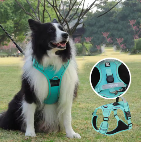 Harnais Anti-Traction pour Chien – Promenades Plus Calmes, Confortables et Sécurisées
